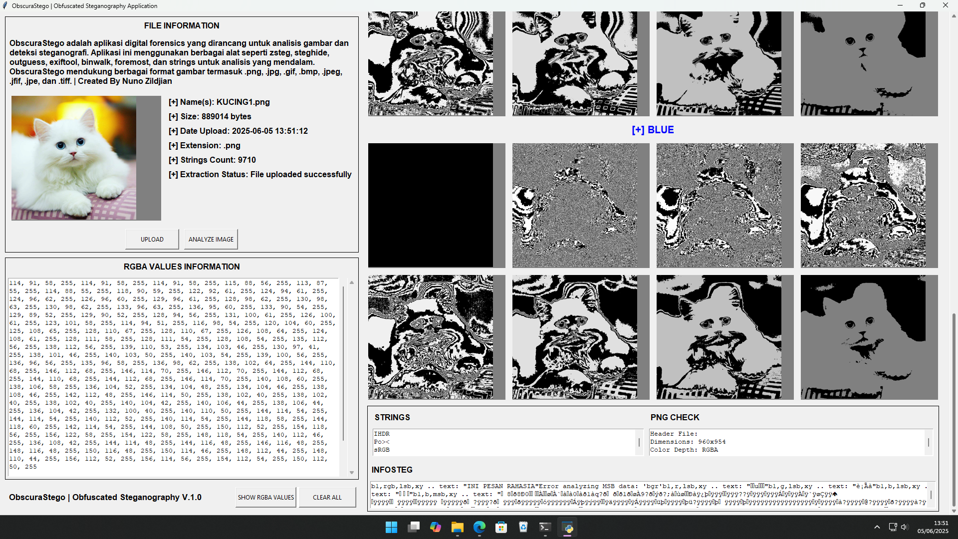 ObscuraStego - Steganography Analysis Tool